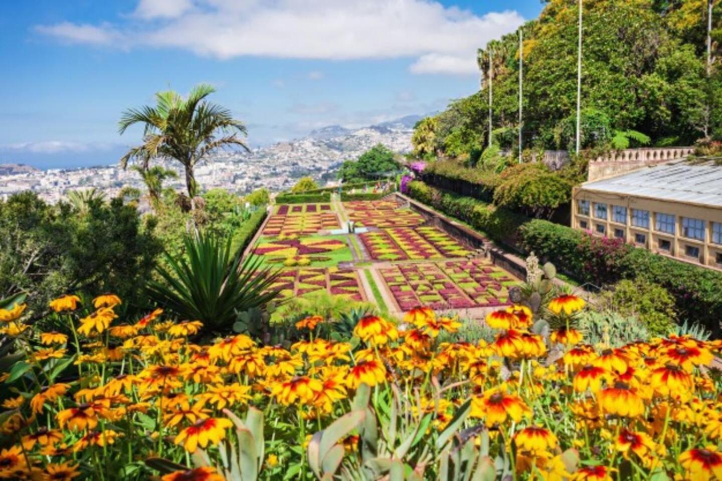 Comfortable 2-Bedroom Apartment For Relaxing Stays Funchal  Exterior foto
